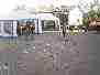 Polterabend: image 1 0f 216 thumb